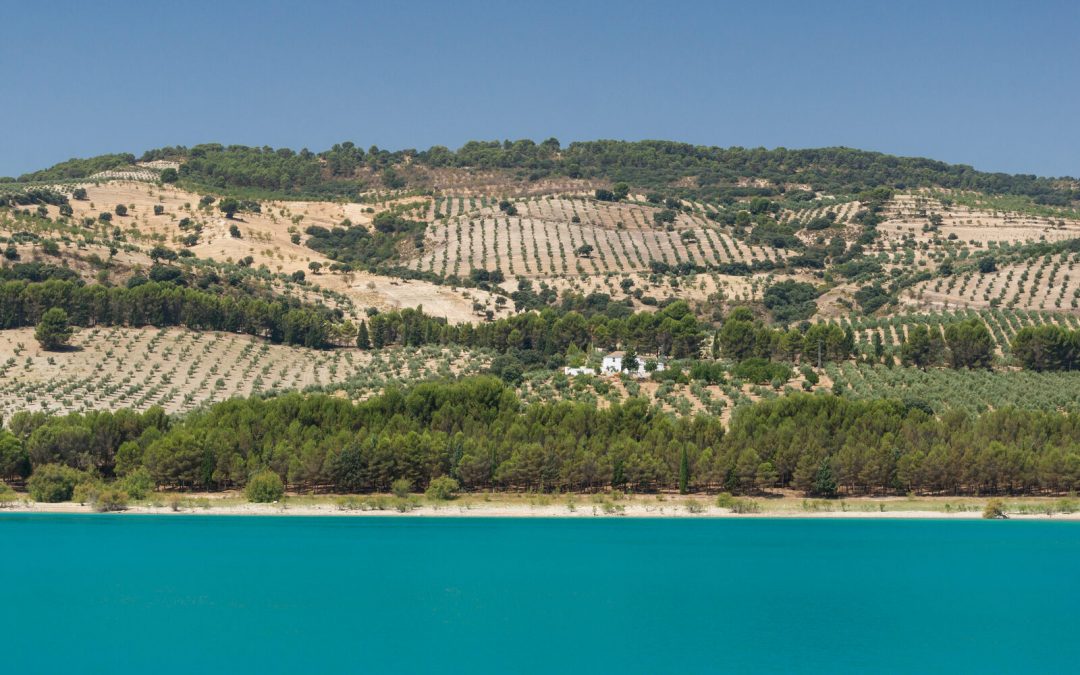 Olivares y un cortijo blanco junto a un embalse en Granada, un ejemplo de finca agrícola con posibilidades de agroturismo